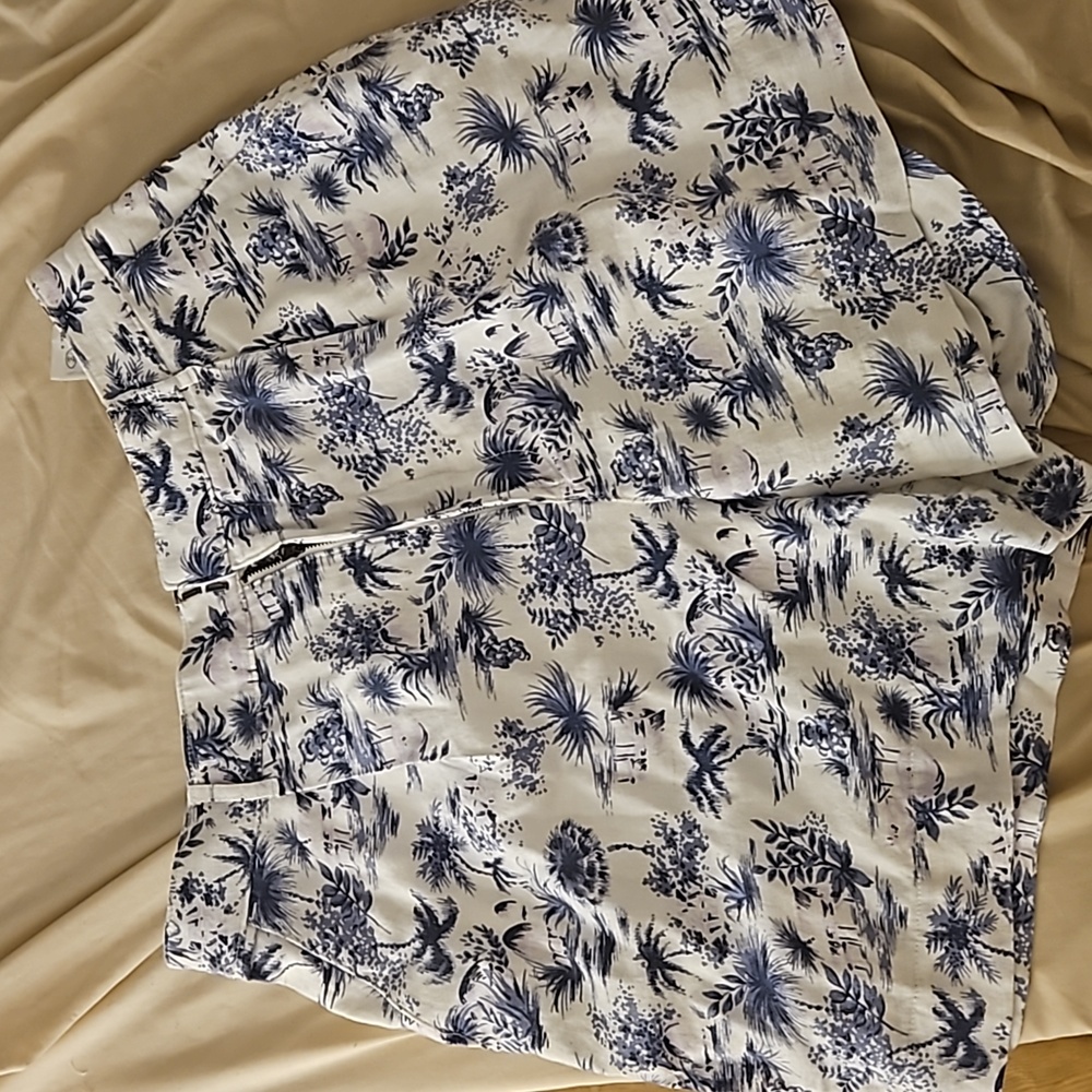 Abercrombie and Fitch Linen Shorts